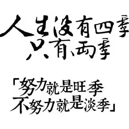 怎么才能让自己变好变优秀 4513BBFE1D20835F9184E4269B119DC6_w600h600.jpg