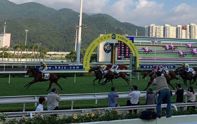 探秘海南赛马马步声已近但未到喝彩时仍会由国资控股