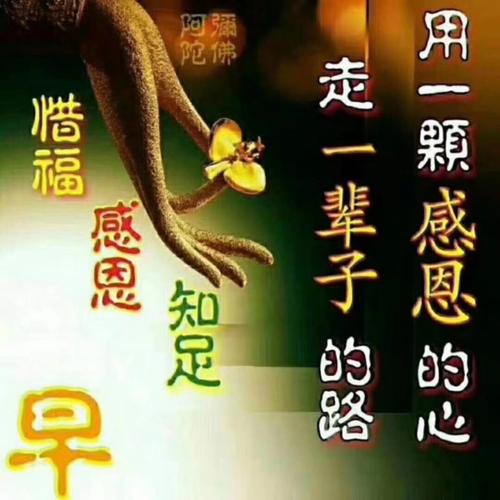 顺势而为方得始终