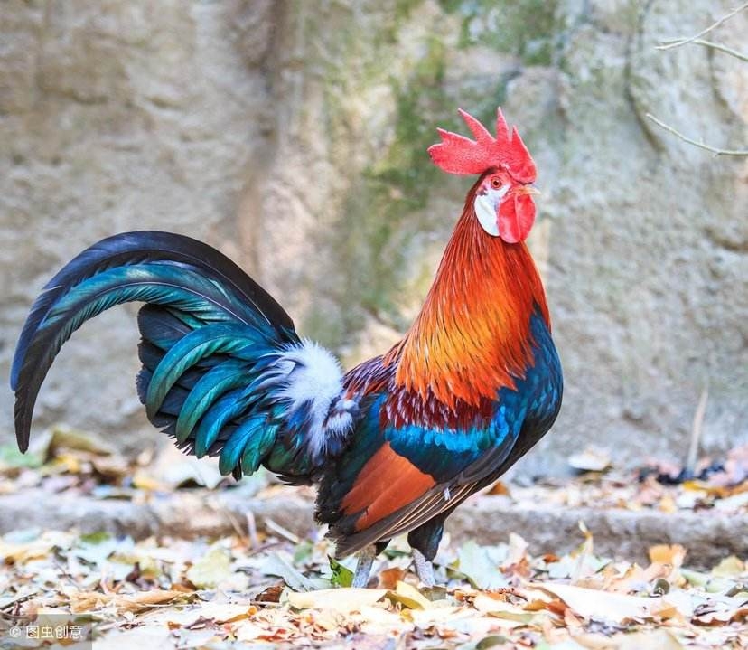 疫情把行业龙头杀出了价值,砸出了黄金坑,上车的机会到了.一一一财富