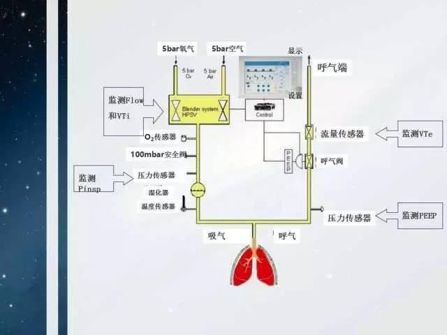 呼吸机结构示意图图片