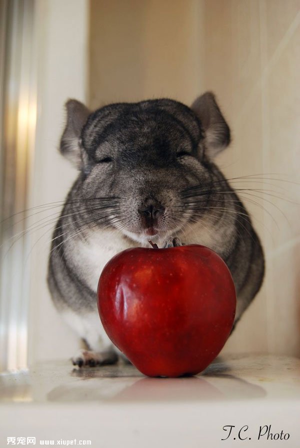 你作为药企,束手无策不参与不关心,不应对不研发,你是瘟币!