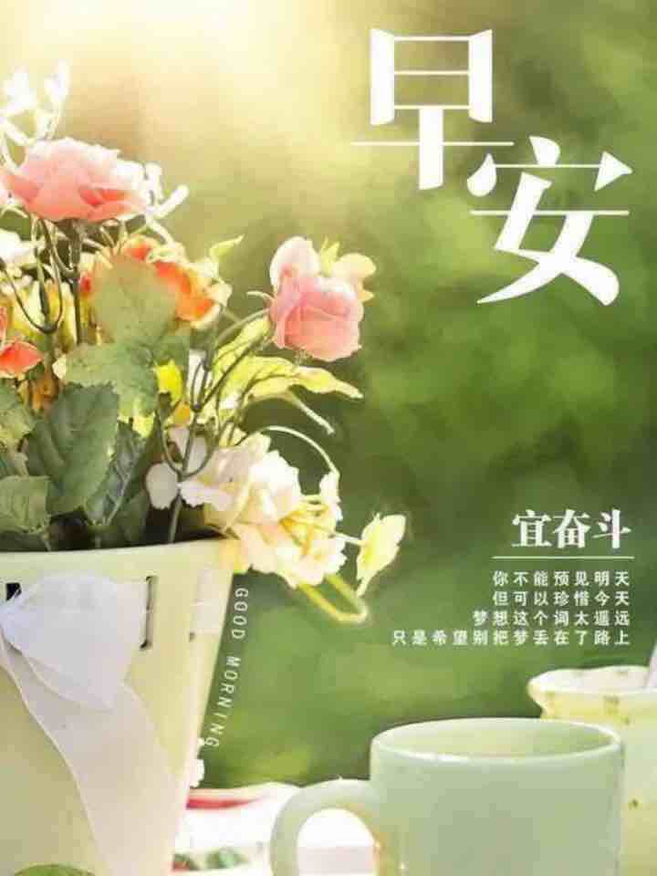 7,别依赖,没有免费的肩膀;别退缩,落井下石的人很多;别低头,地上没有