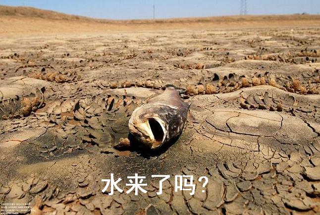 盼来水!————东方财富网博客