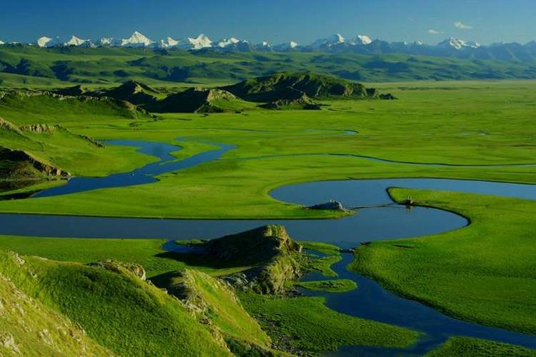 周而复始生生不息献花空仓休息了节后再战毛估估