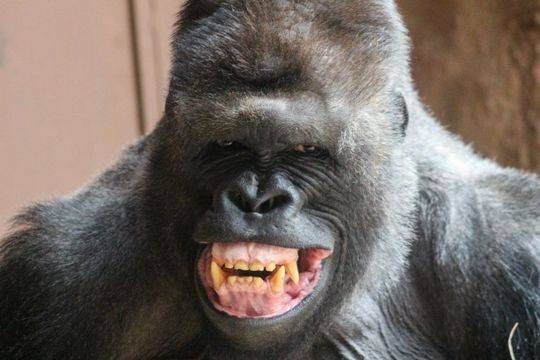 明天必大涨抛掉的去撞墙不接受任何反搏,我说涨必涨别问我为啥就是涨,