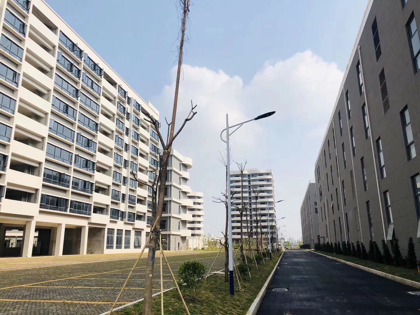 东莞东沣科技园实景