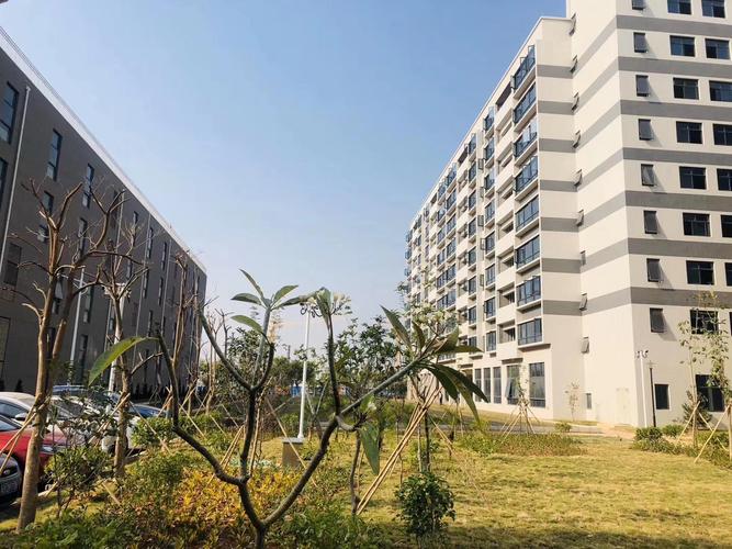 东莞东沣科技园实景