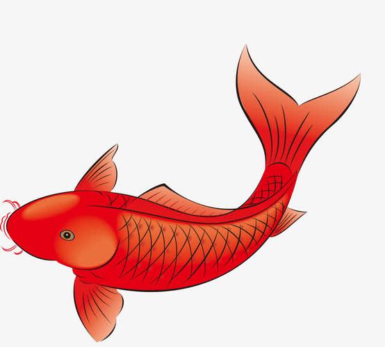 钓鱼需要耐心的一定是条大鱼