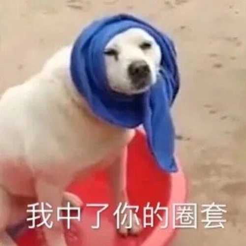 姐姐群像沙雕文案,姐姐群像沙雕文案怎么写