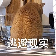郑重声明:用户在财富号/股吧/博客社区发表的所有信息(包括但不限于