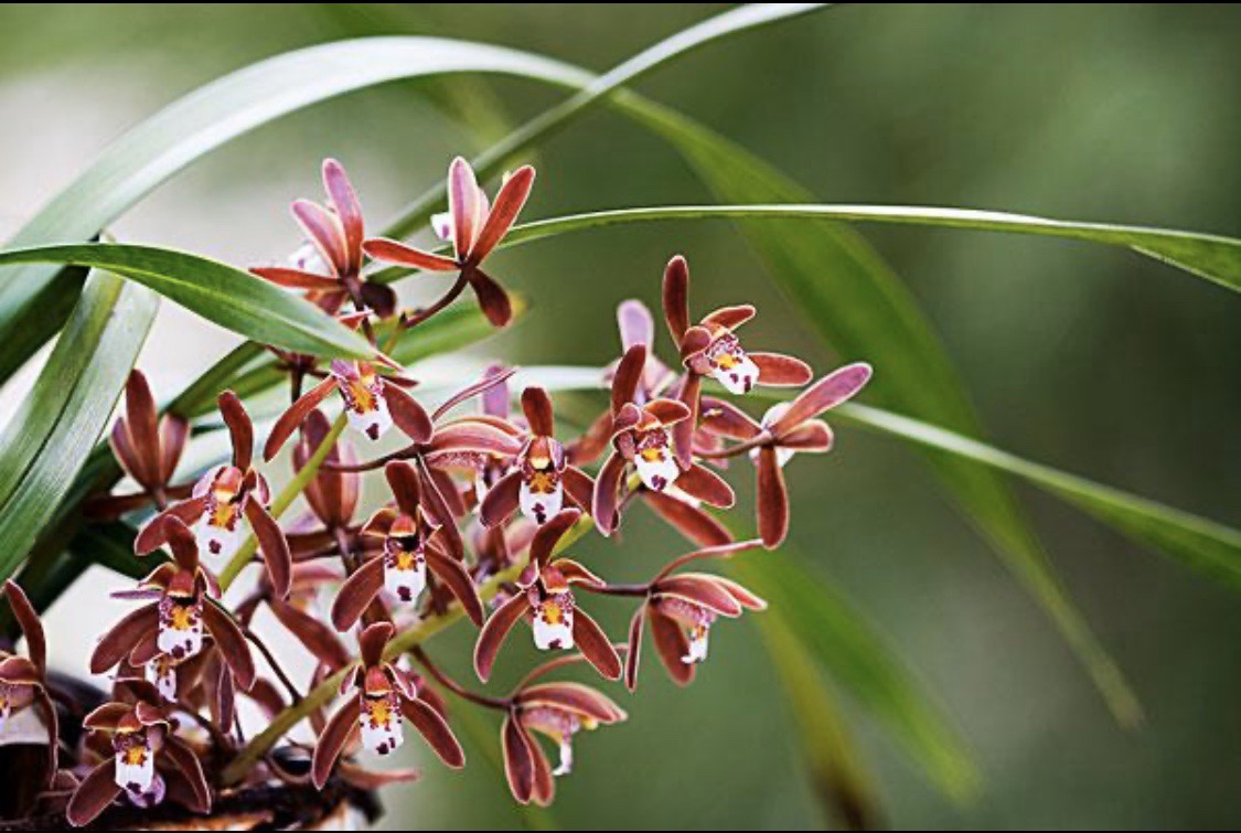 分享到: 评论                              郑重声明:用户在财富号