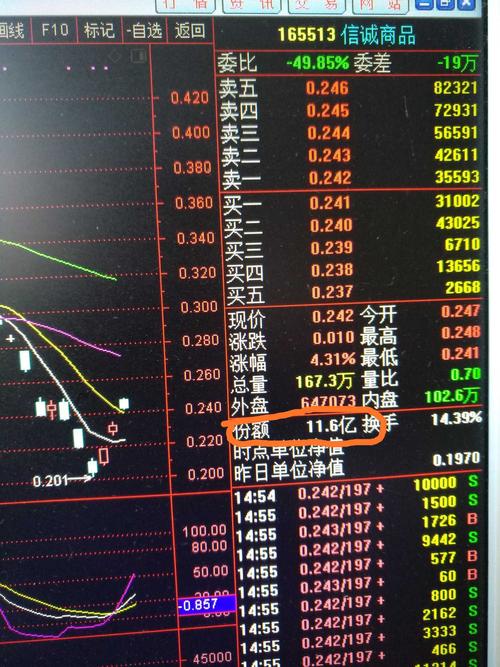 基金行情查询今日大盘 B0CF696F8D229D901B68A865CE78A213_w1500h2000.jpg