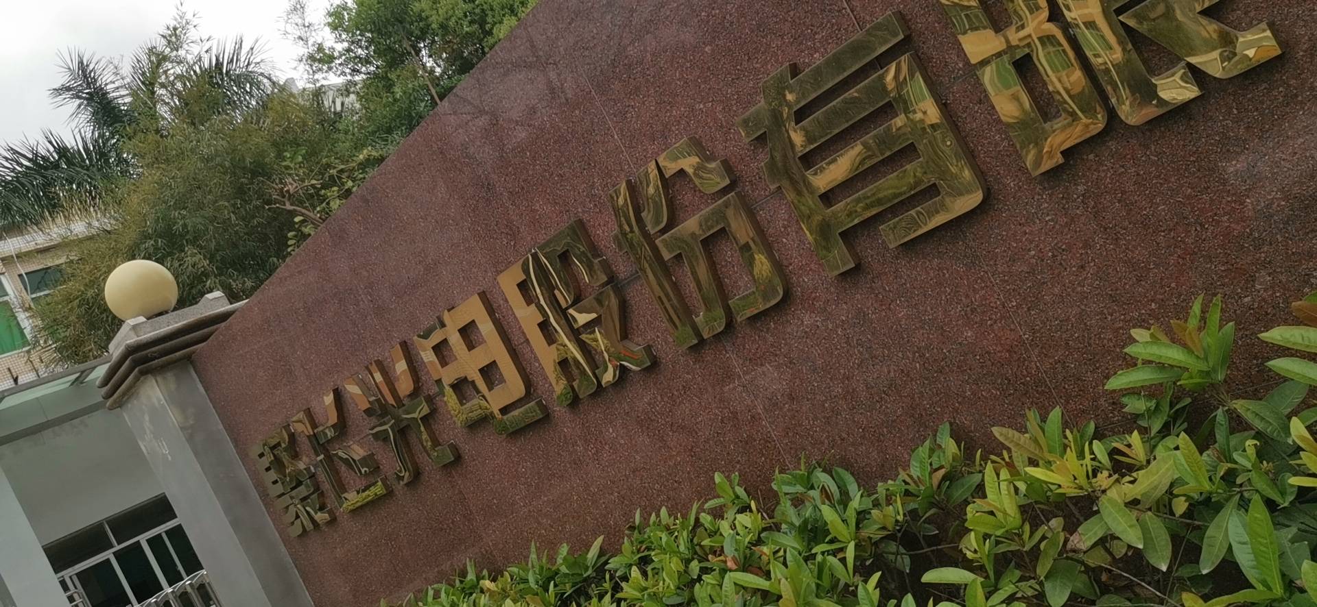 上次来这里涨停,今天又来他们公司了,公司门口大量招