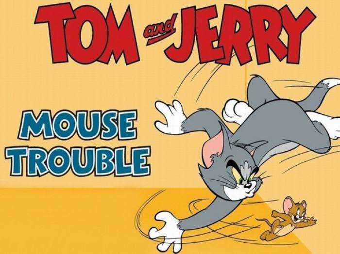 汤姆要来了,杰瑞快跑