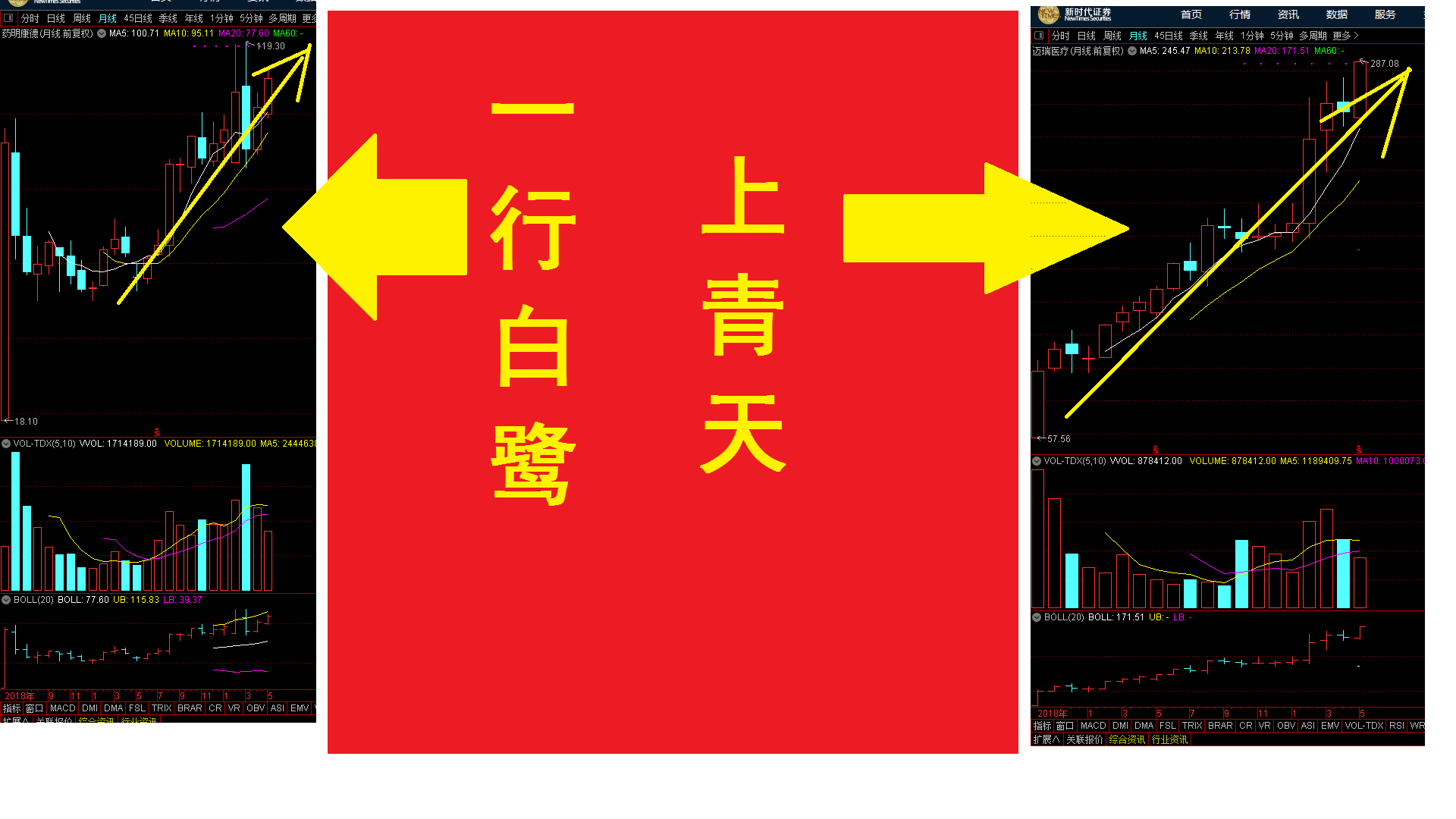 两只黄鹂鸣翠柳 一行白鹭上青天—东方财富网博客