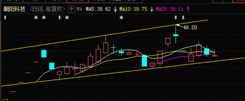若无利空大盘应继续反弹,朝阳可期_朝阳科技(002981)股吧_东方财富网