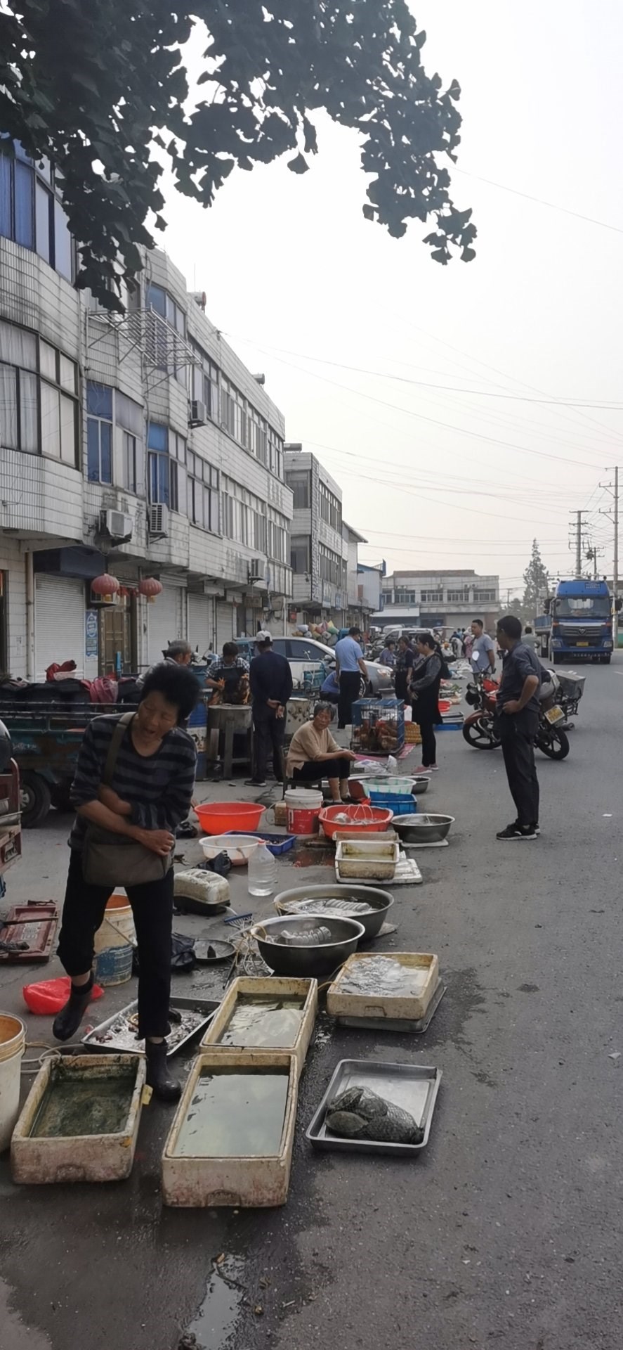 纯正的地摊货概念,居然跌了?