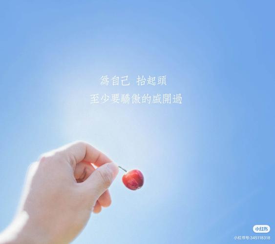 生活明朗万物可爱