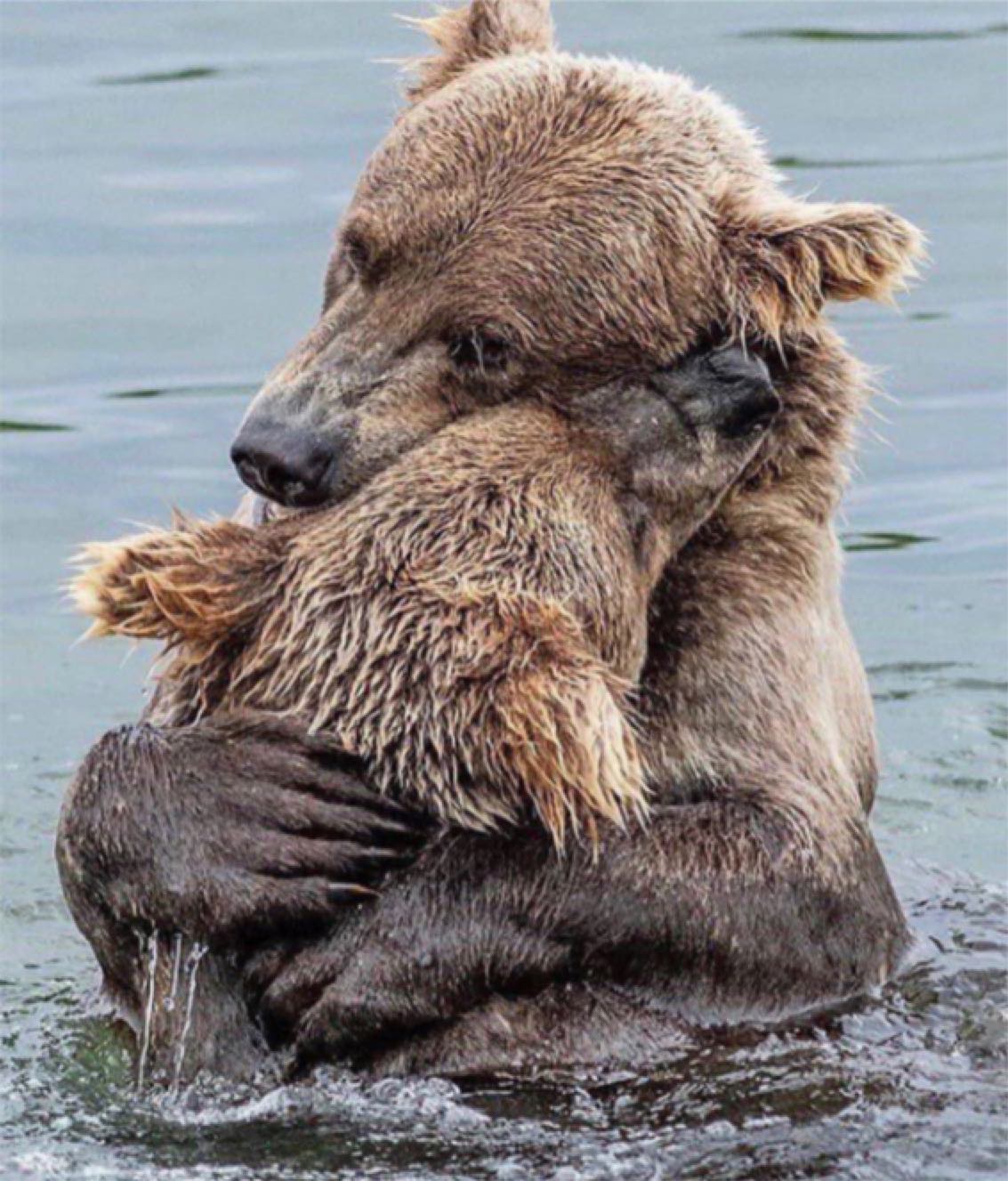 紧紧抱住不分离