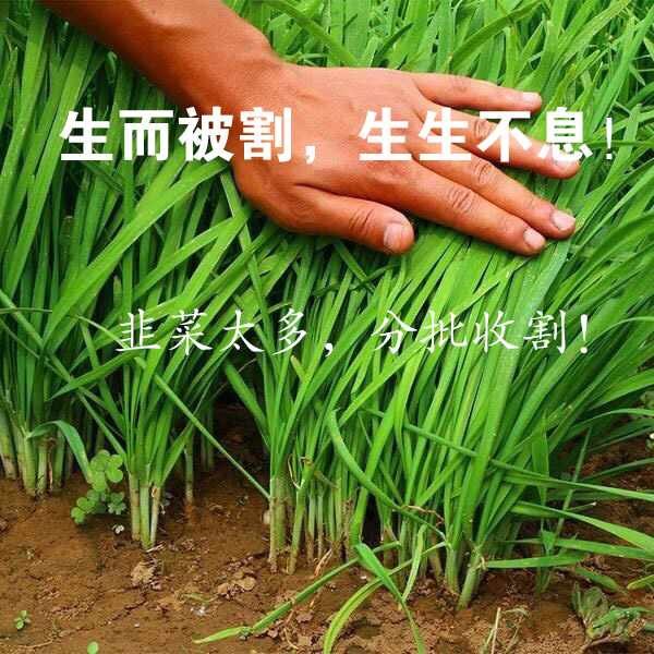 用户在财富号/股吧/博客社区发表的所有信息(包括但不限于文字,视频