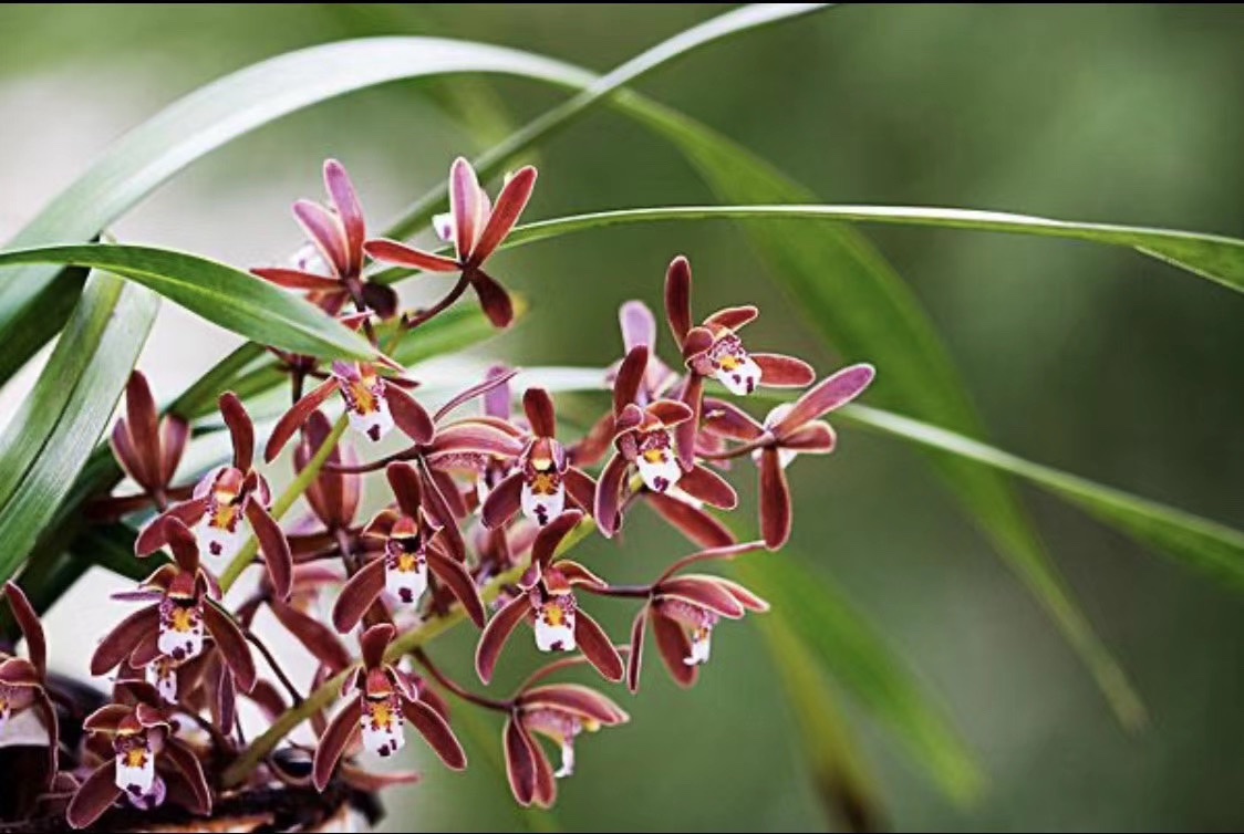 这周也开不了哦!