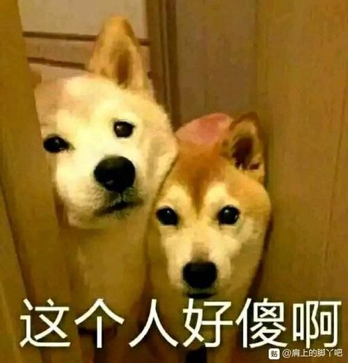 有没有觉得和弱智的待一起久了你会发现自己智商也降低了和做生意的待