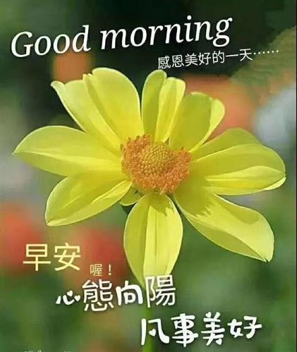 绿遍山原白满川子规声里雨如烟胜利喜欢上了这季节