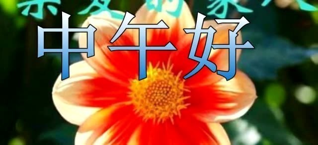420001基金今天净值查询剖析请点击f5"自动刷新"设30秒更新