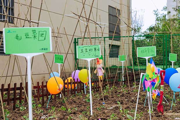 为热爱趣播种大发地产一米菜园正式开园