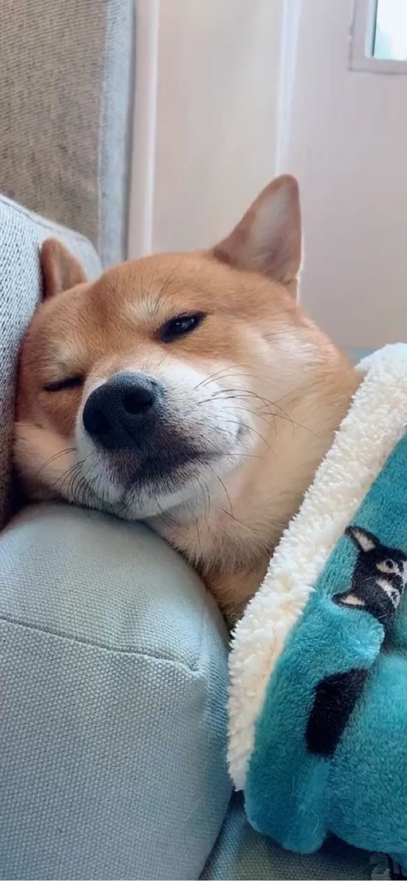 60天不拐头,牛市不死!挺住!坚持!