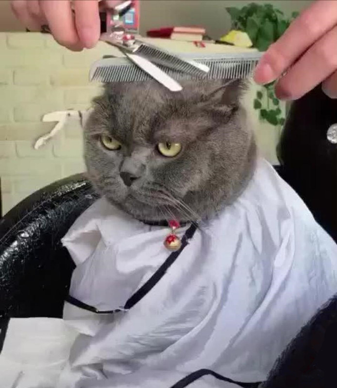 返回财通资管鸿福短债c吧