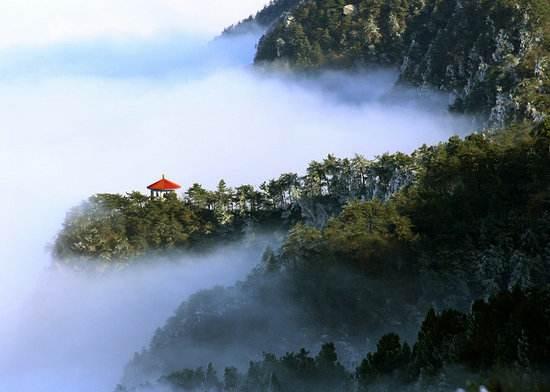 明日歌作者钱鹤滩明日复明日明日何其多我生待明日万事成蹉跎世人若被