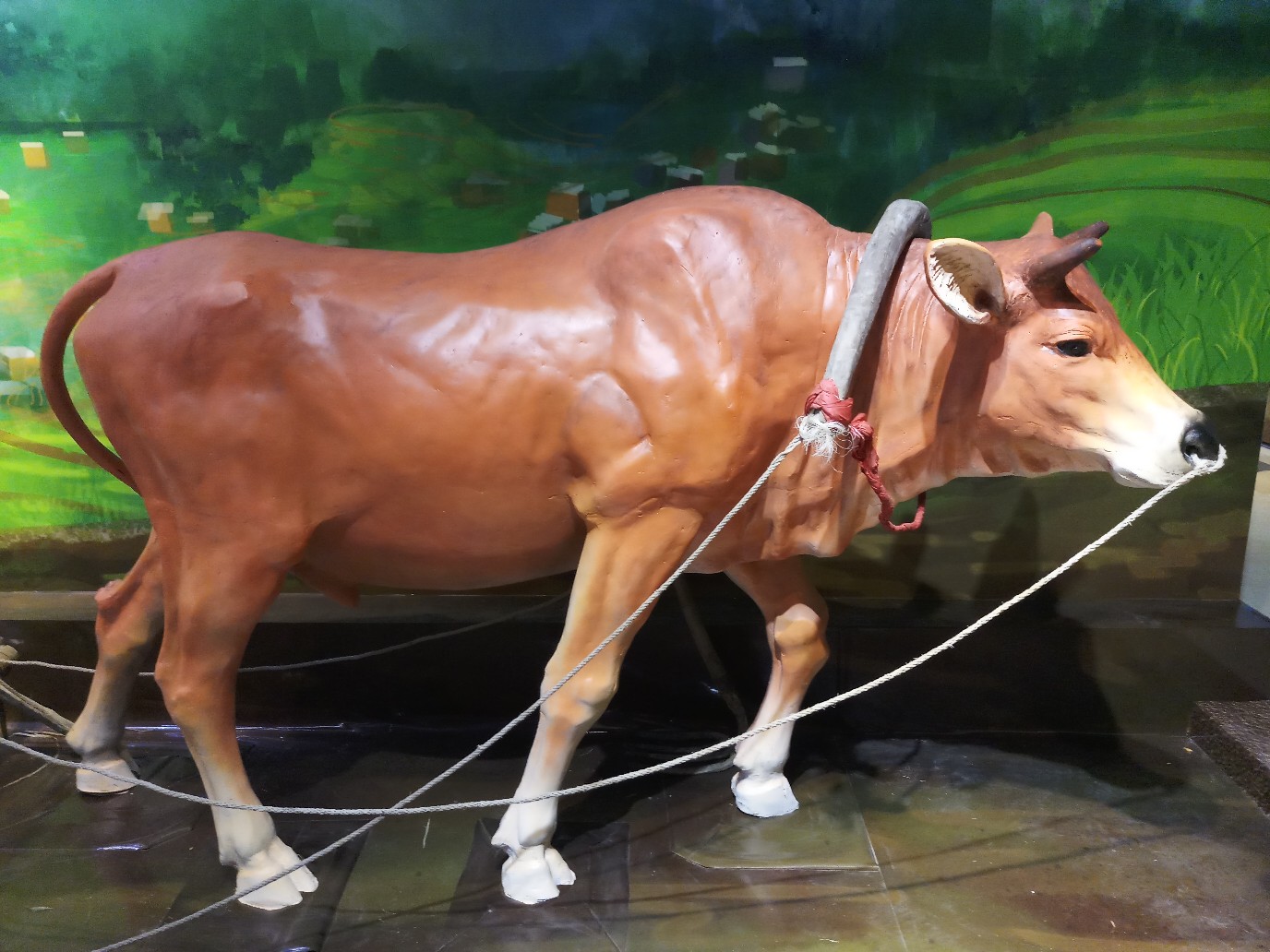 3.3前,卖出,假牛