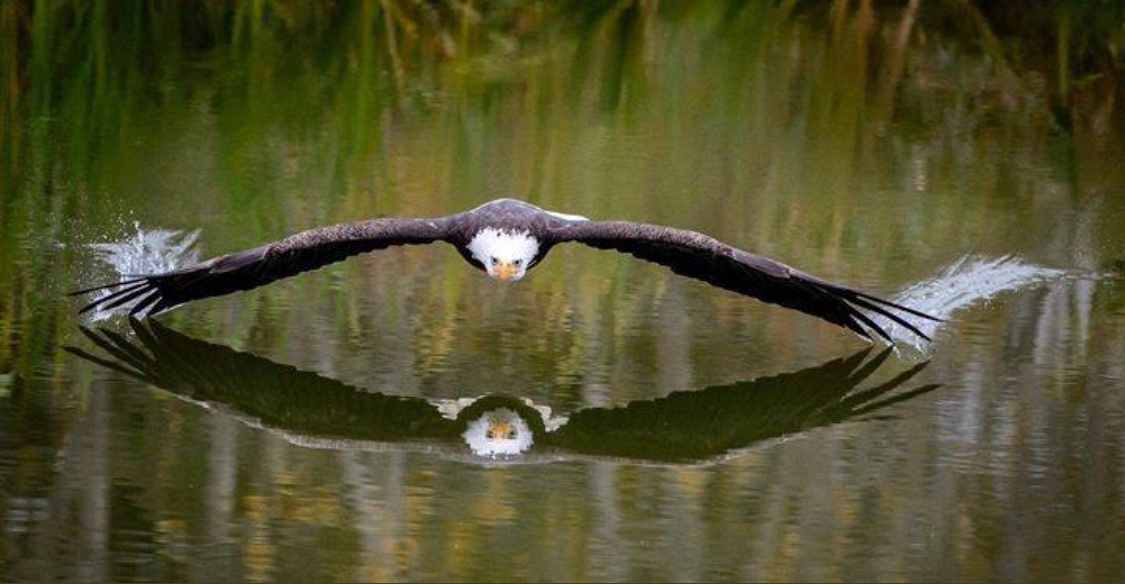 腾笼换鸟,527换成722