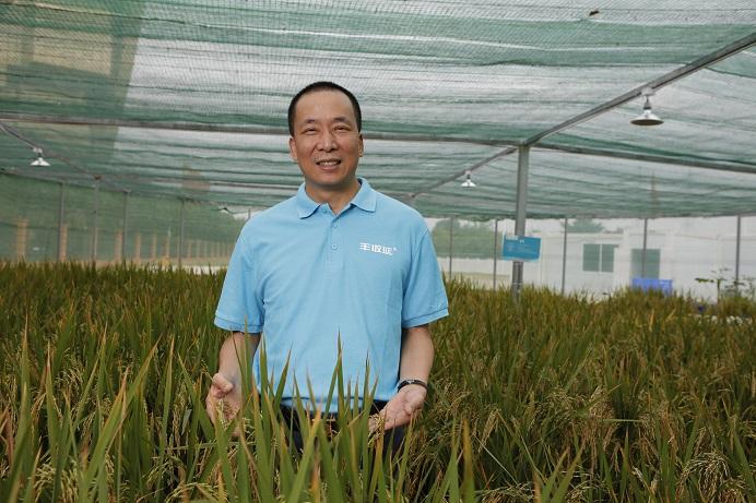 土壤种植黑科技诞生鸿达兴业成功化薄土为良田