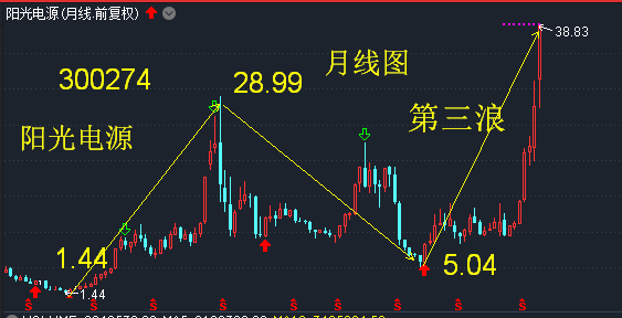 半月线和弓状线图片