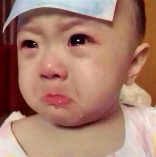 郑重声明:用户在财富号/股吧/博客社区发表的所有信息(包括但不限于