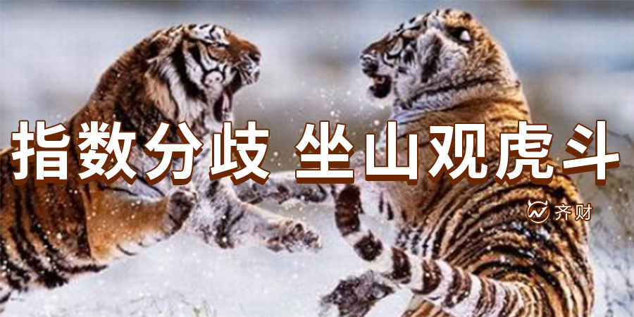 江苏天鼎证券林炜老师指数分歧坐山观虎斗