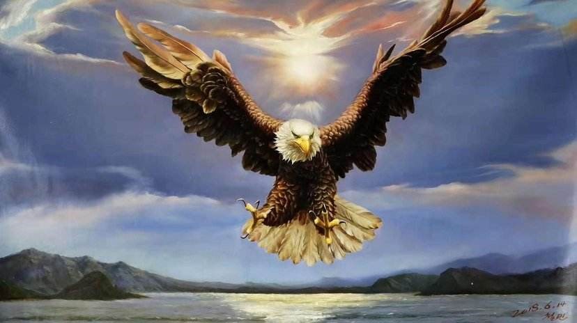 老张你一定不要辜负我们支持者对你的信任你看鹏起股