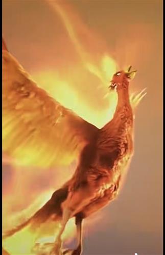 一元复始万象更新凤凰涅盘华丽转身新的一年祝愿长生生物长春长生祝愿