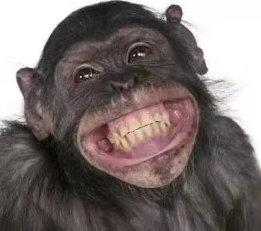 喝红酒算不算促农村消费呢微笑微笑哥己连买两天通葡了毛估估