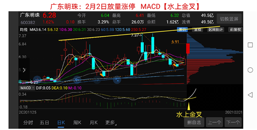 【中国(散户抱团)复仇者联盟】:(1)600382广东明珠,2020年2月2日,_st