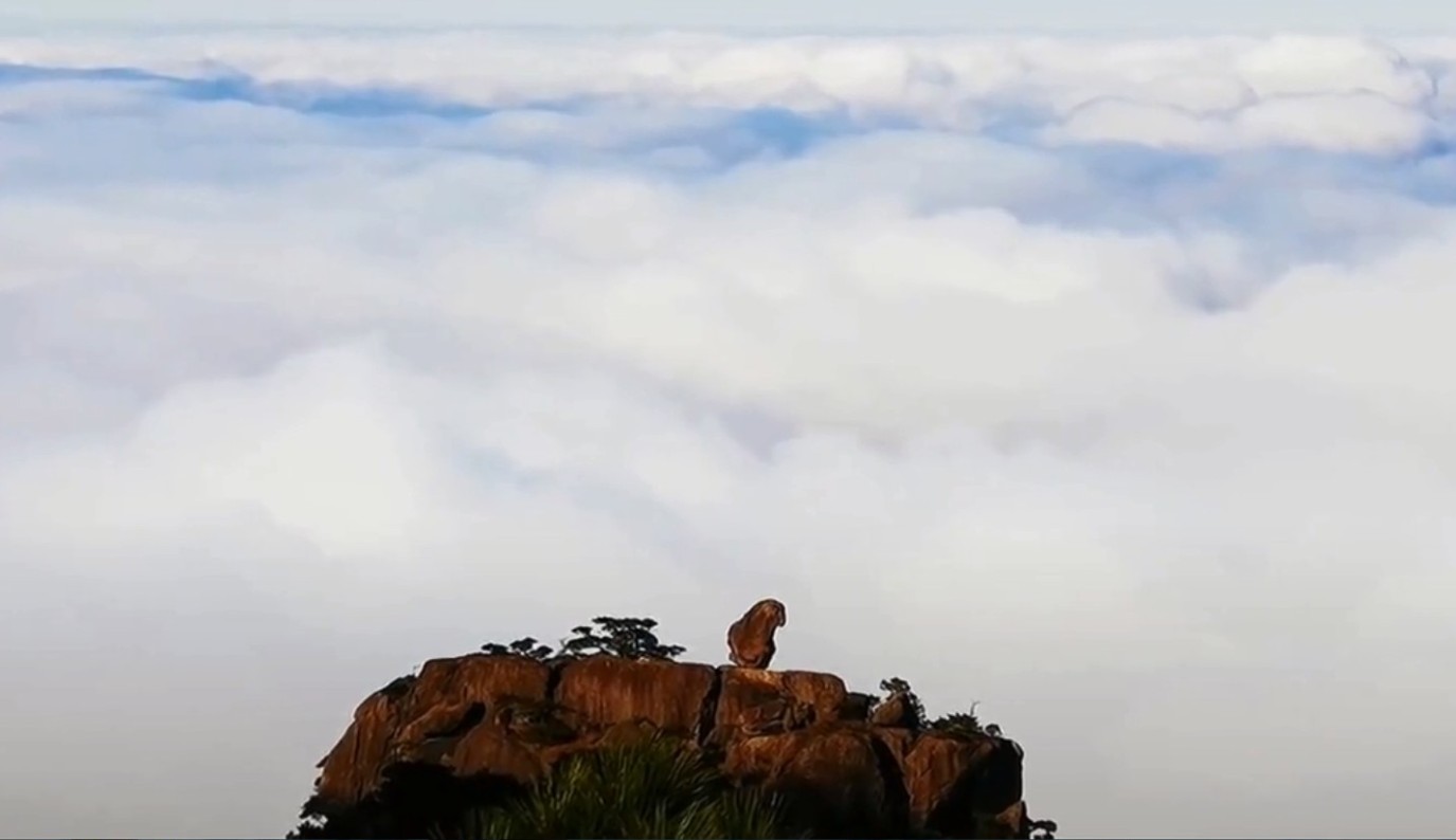 青鸾峰-1---长期娱乐贴_黄山旅游(600054)股吧_东方财富网股吧