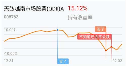  在天弘越南市場股票(qdii