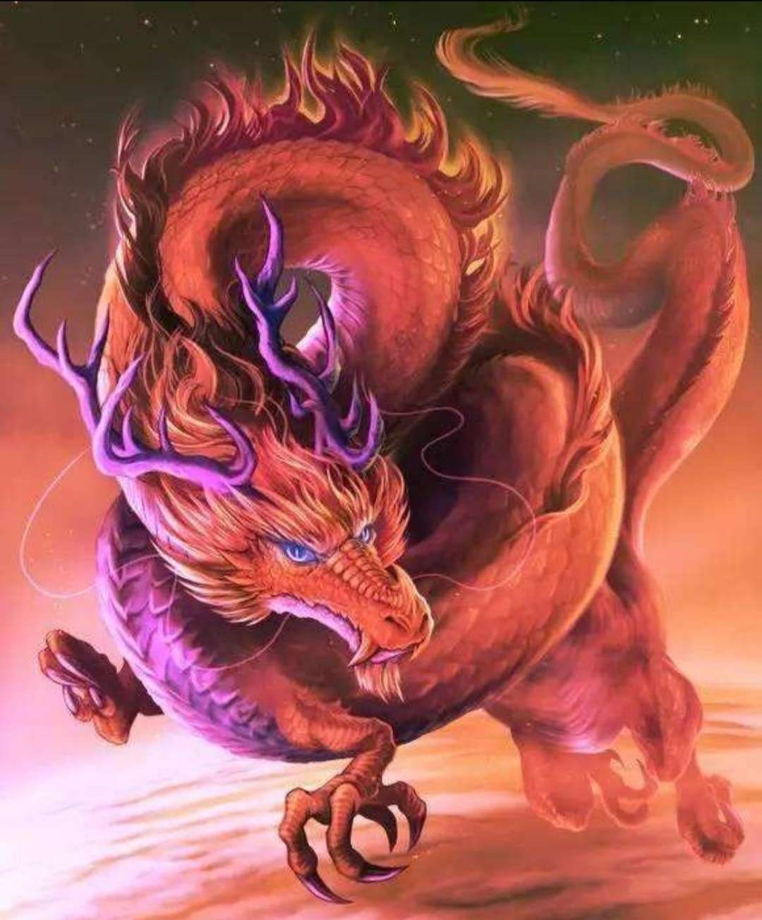 锦龙潜伏于海里多年,终于在2021牛年到来之际跃出水面,冲上云霄,飞升