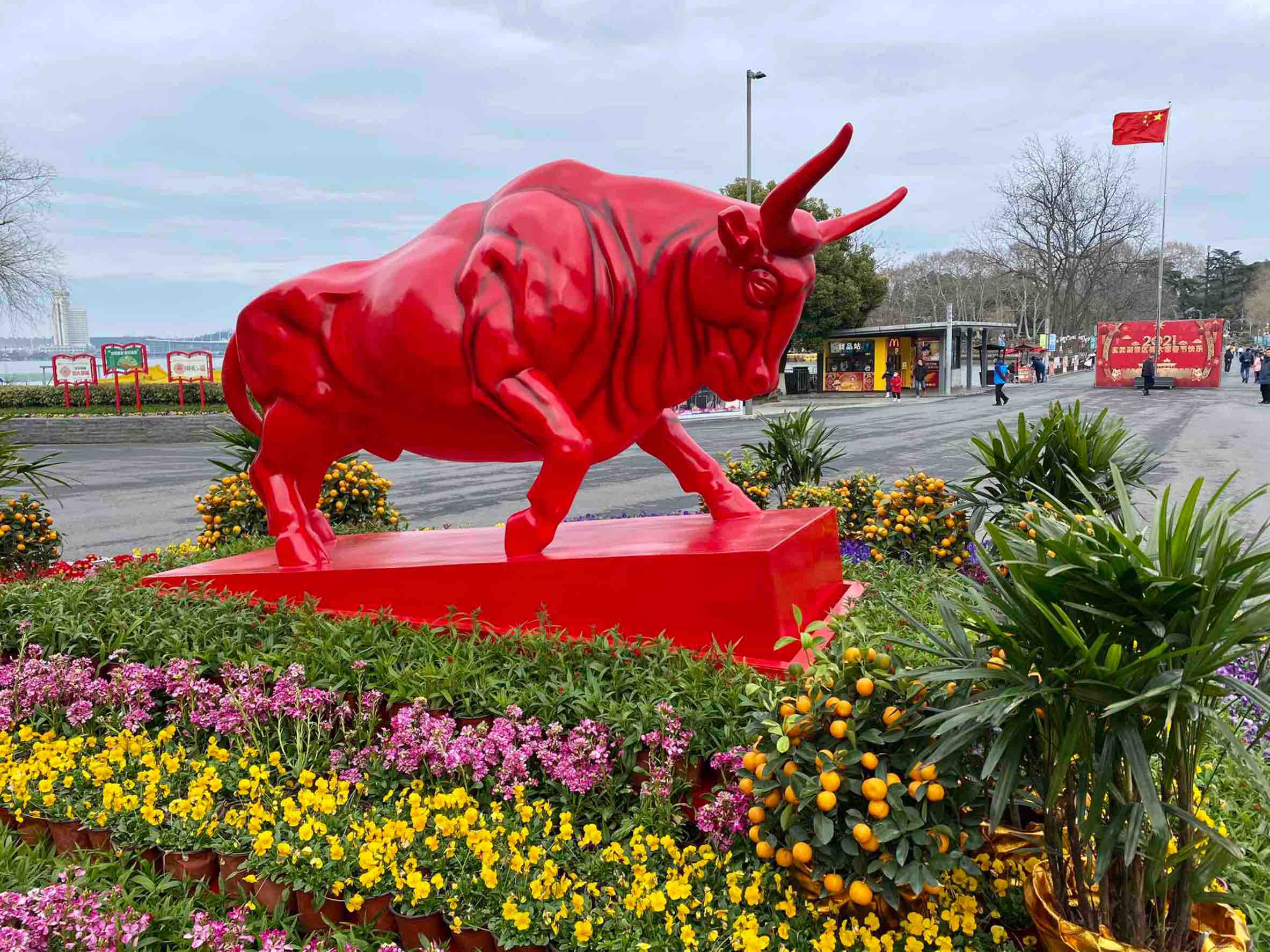 路过手拍,这就是新一年的期望,红,牛,送给晨光小股东[微笑]