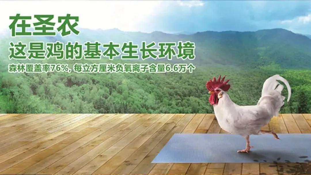 圣农发展(002299)股吧_东方财富网股吧