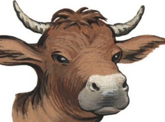 等到牛头熊出没之后,东