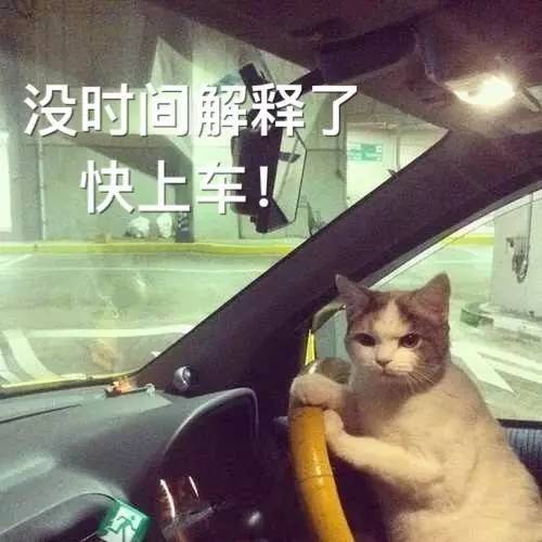 接着奏乐接着舞西矿遥看一百五